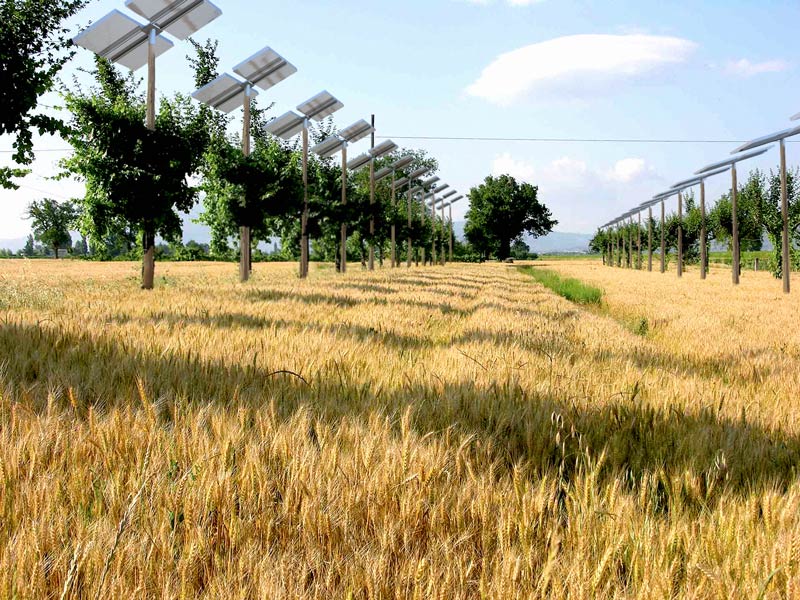akren agrivoltaico risparmio energetico sistemi agrivoltaici